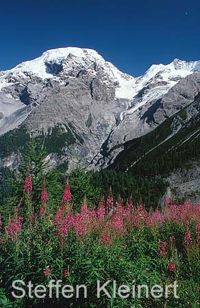 dolomiten - ortler 006